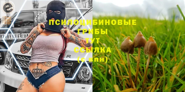 гашиш Гатчина