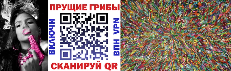 Галлюциногенные грибы Cubensis  Шарыпово 